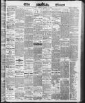 Ottawa Times (1865), 4 Mar 1873