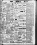 Ottawa Times (1865), 8 Mar 1873