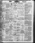 Ottawa Times (1865), 12 Mar 1873