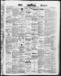 Ottawa Times (1865), 25 Mar 1873