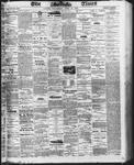 Ottawa Times (1865), 16 Apr 1873