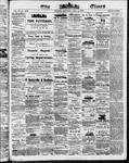 Ottawa Times (1865), 14 Jul 1873