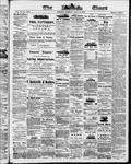 Ottawa Times (1865), 15 Jul 1873