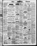 Ottawa Times (1865), 16 Jul 1873