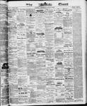Ottawa Times (1865), 2 Aug 1873