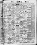 Ottawa Times (1865), 7 Aug 1873