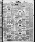Ottawa Times (1865), 8 Aug 1873