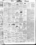 Ottawa Times (1865), 3 Nov 1873