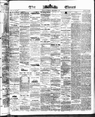 Ottawa Times (1865), 2 Dec 1873