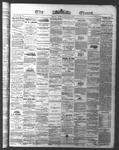 Ottawa Times (1865), 13 Jan 1874