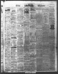 Ottawa Times (1865), 30 Apr 1874