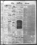 Ottawa Times (1865), 14 May 1874