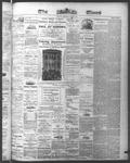 Ottawa Times (1865), 8 Jun 1874