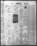 Ottawa Times (1865), 13 Jun 1874