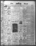 Ottawa Times (1865), 16 Jun 1874