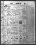 Ottawa Times (1865), 17 Jun 1874