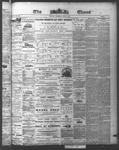 Ottawa Times (1865), 18 Jun 1874