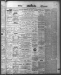 Ottawa Times (1865), 19 Jun 1874