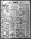 Ottawa Times (1865), 22 Jun 1874