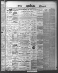 Ottawa Times (1865), 23 Jun 1874