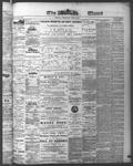 Ottawa Times (1865), 24 Jun 1874