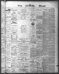 Ottawa Times (1865), 25 Jun 1874