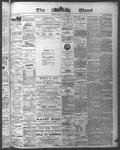 Ottawa Times (1865), 26 Jun 1874