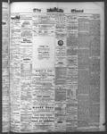 Ottawa Times (1865), 27 Jun 1874