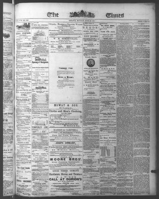 Ottawa Times (1865), 29 Jun 1874