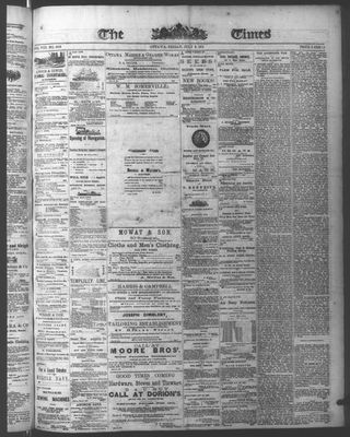 Ottawa Times (1865), 3 Jul 1874