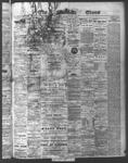 Ottawa Times (1865), 6 Jul 1874