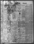 Ottawa Times (1865), 8 Jul 1874