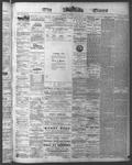 Ottawa Times (1865), 10 Jul 1874