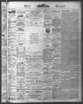 Ottawa Times (1865), 11 Jul 1874