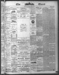 Ottawa Times (1865), 18 Jul 1874