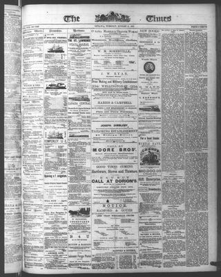 Ottawa Times (1865), 11 Aug 1874