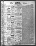 Ottawa Times (1865), 12 Aug 1874