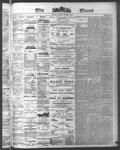 Ottawa Times (1865), 17 Aug 1874
