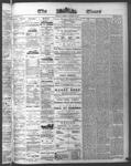 Ottawa Times (1865), 18 Aug 1874