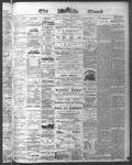 Ottawa Times (1865), 20 Aug 1874