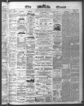 Ottawa Times (1865), 22 Aug 1874