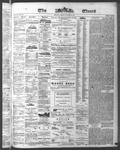 Ottawa Times (1865), 28 Aug 1874