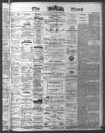 Ottawa Times (1865), 29 Aug 1874
