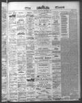 Ottawa Times (1865), 2 Sep 1874