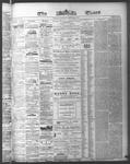 Ottawa Times (1865), 5 Sep 1874