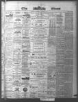 Ottawa Times (1865), 28 Oct 1874