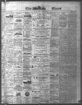 Ottawa Times (1865), 30 Oct 1874