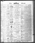 Ottawa Times (1865), 3 Nov 1874