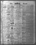 Ottawa Times (1865), 4 Nov 1874