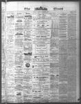 Ottawa Times (1865), 6 Nov 1874